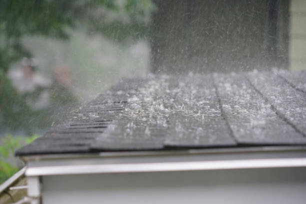 Best Green or Eco-Friendly Roofing Solutions  in Lliams Bay, WI